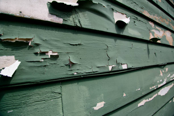 Best Recycling Services for Junk  in Saugerties South, NY